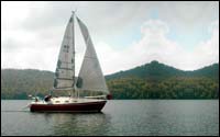 tri radial laminate sails on Windward